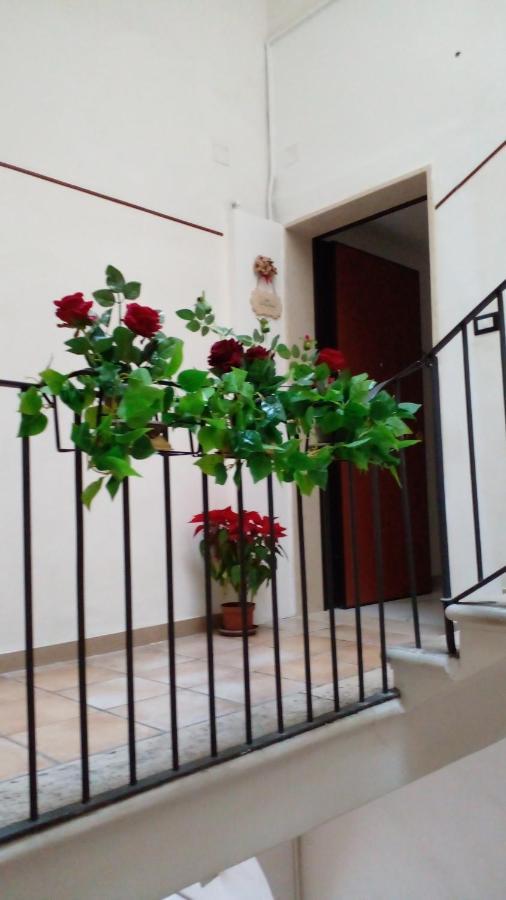 La Rosa Rossa Hotell Bari Exteriör bild